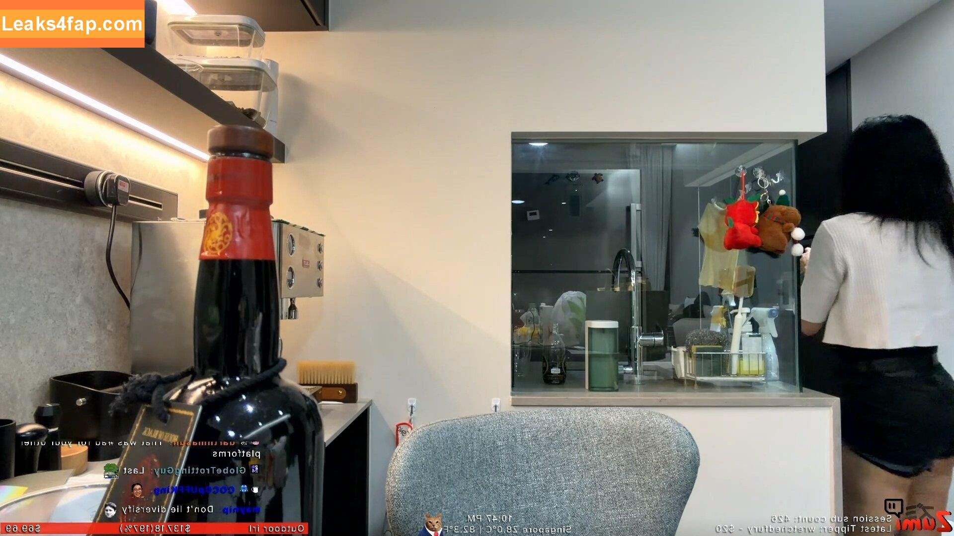 Zumi / zestyzumi leaked photo photo #0231